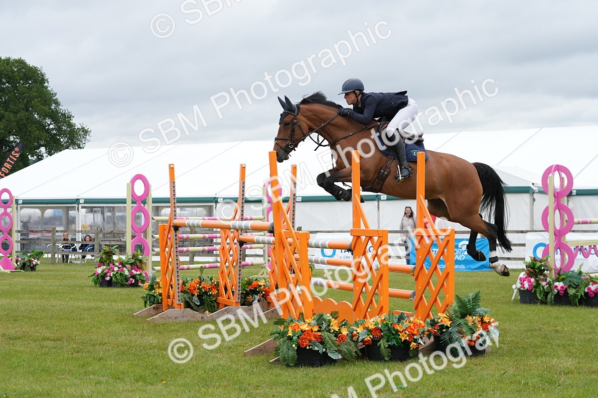 SBM_03455 - Class 201 - British Horse Feeds Speedi Beet Horse of the Year Show Grade  C