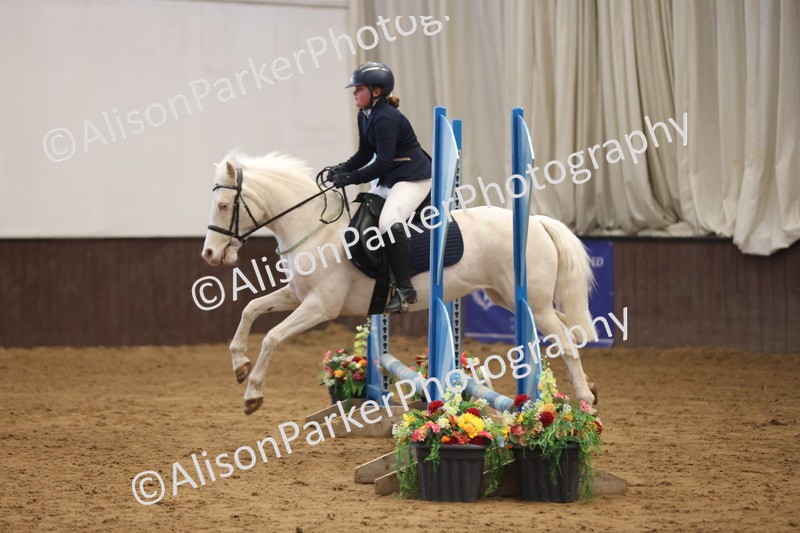 20260314-0386 - 60cm