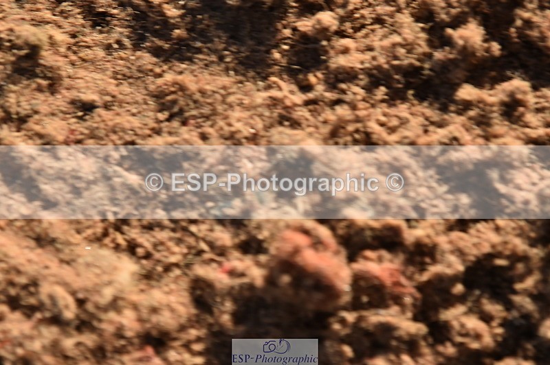 231105A-133114-01143 - 90cm