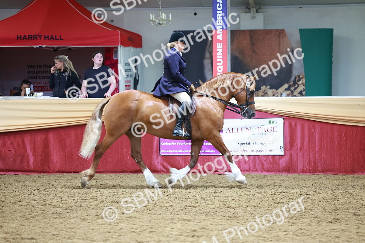 SBM_18622 - Class 952 - M&M Ridden Supreme Final