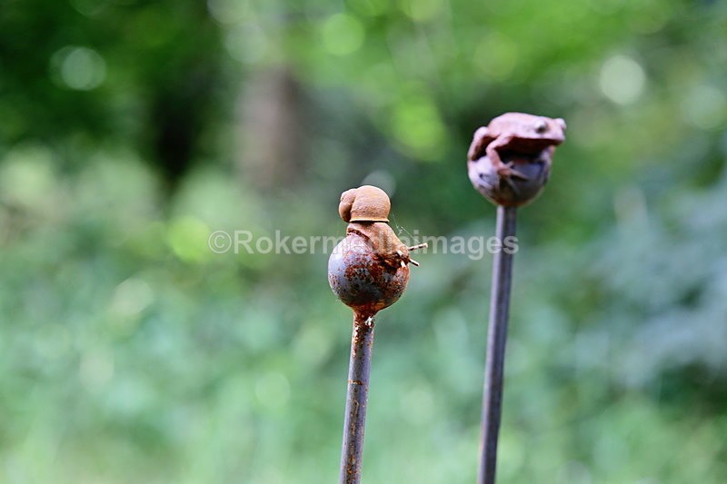  - Elemental Sculpture Park