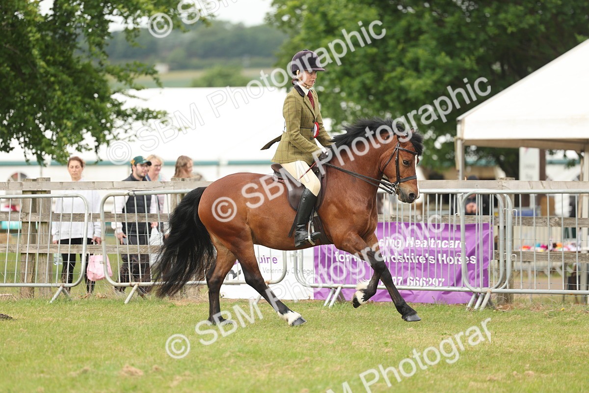 SBM_09119 - Class 78-80 - Ridden M&M Non Welsh Ponies