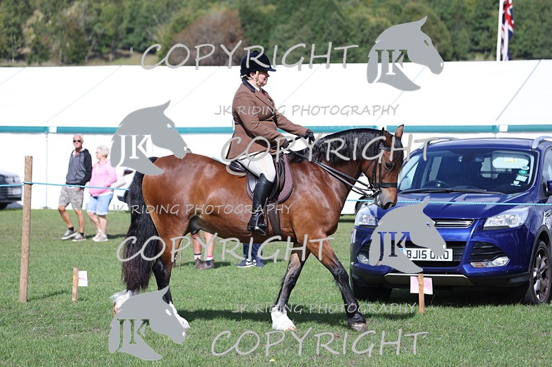 APP_3035 - Class 11 Veterans ridden