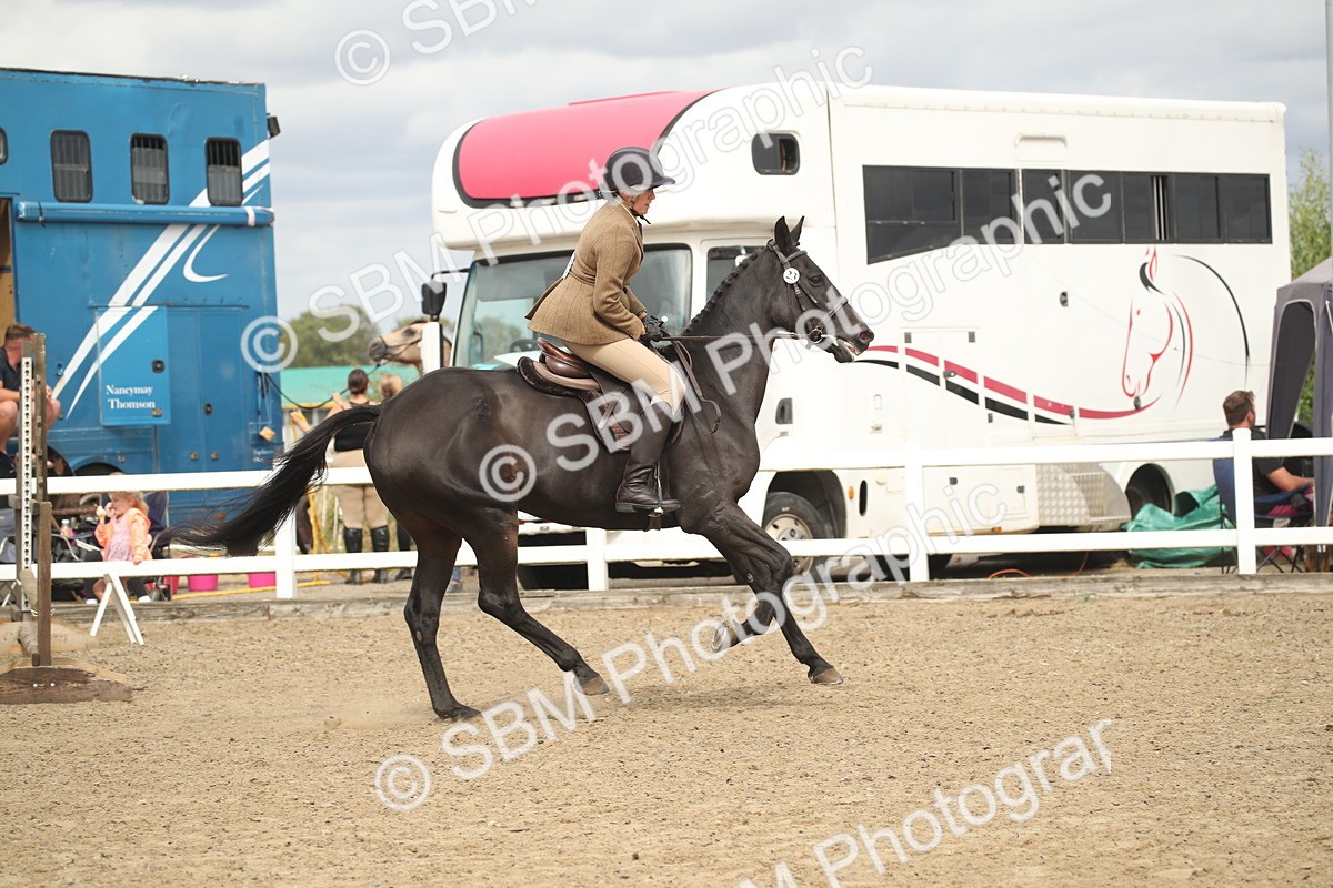 SBM_16774 - Class 507b - Working Veteran 60cm (20+)