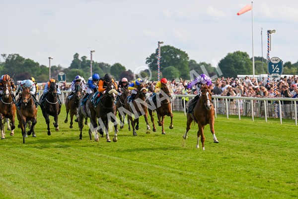 310525-Race 7-Mums Tipple-0305 - Race 7 5.00pm William Hill Best Odds Guaranteed Handicap