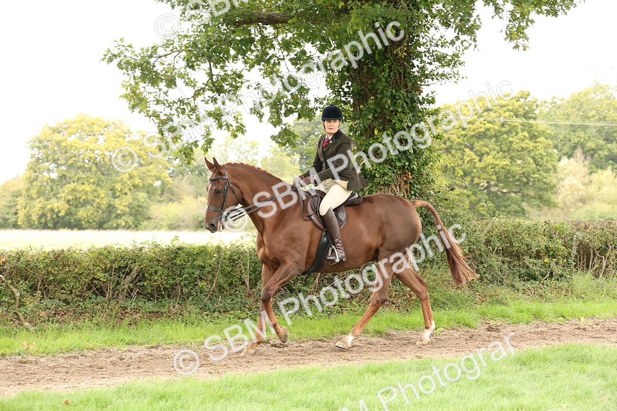 SBM_66354 - S66 - Hunter Ridden