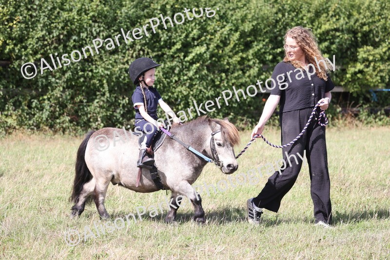 20260906-2749 - Class 25 - Absolute Beginners Pony