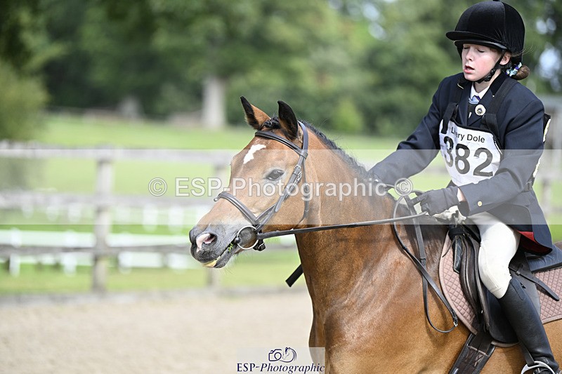 240823X-153151-18751 - 70cm R2 15.20 to 16.40