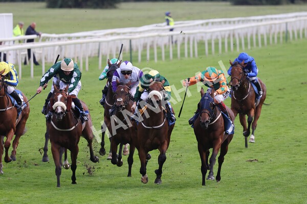 yr24092021r7-35 - Race 7 4.55pm William Hill Free or Four Fillies' Stakes