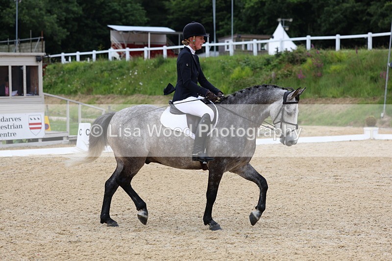 3E7A1719 - Class 2: Intro 2 2024 Section B