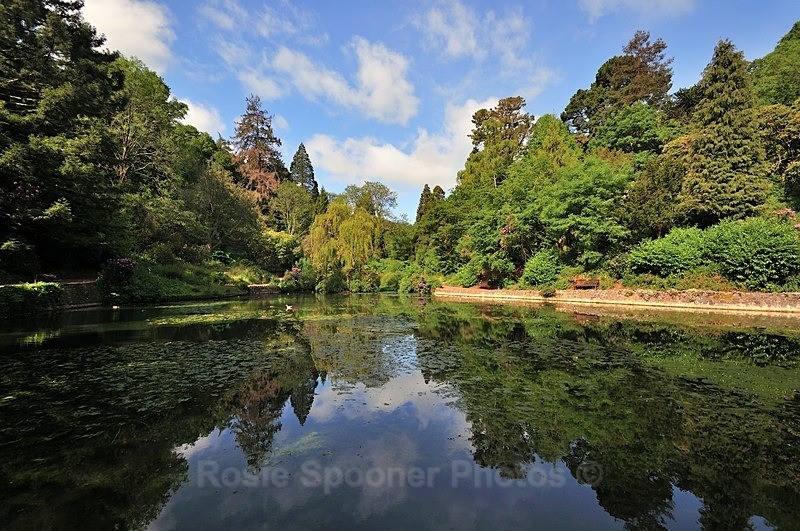 The Lakes at Cockington - Cockington