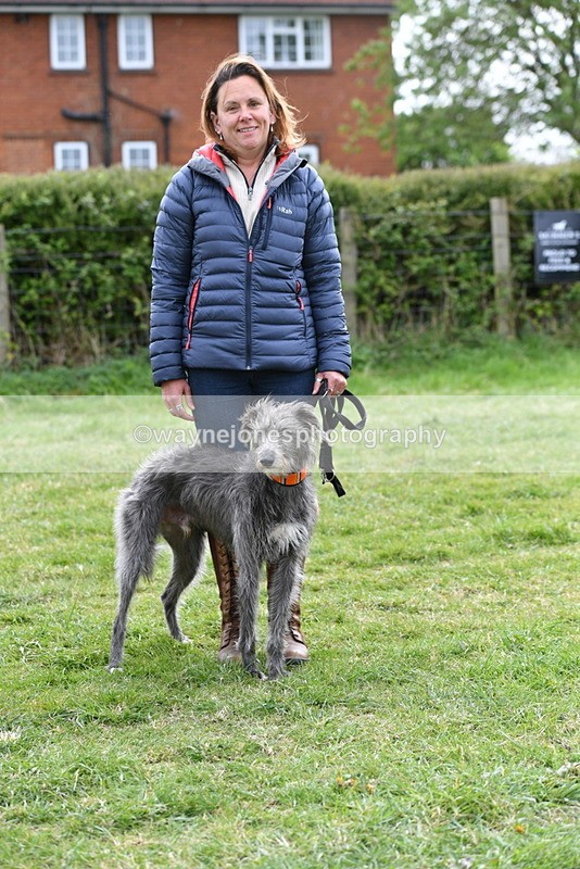 WJ5_9350 - Class 1 Best Cross Breed / Heniz 57