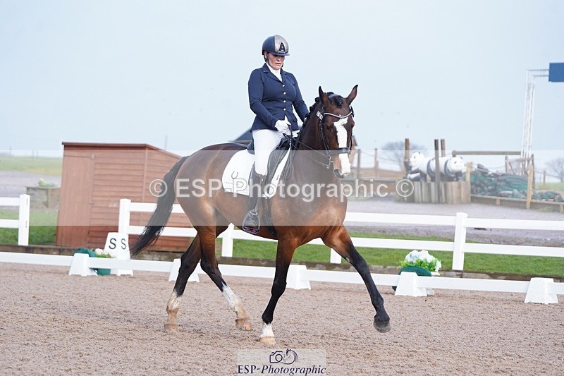 250215-144326-04348 - 194-Fay.Lai-Greenlanes.Lullaby