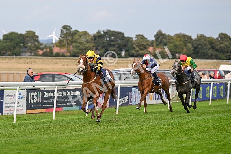 240924-Race 6-Captain Corelli-6689 - Race 6