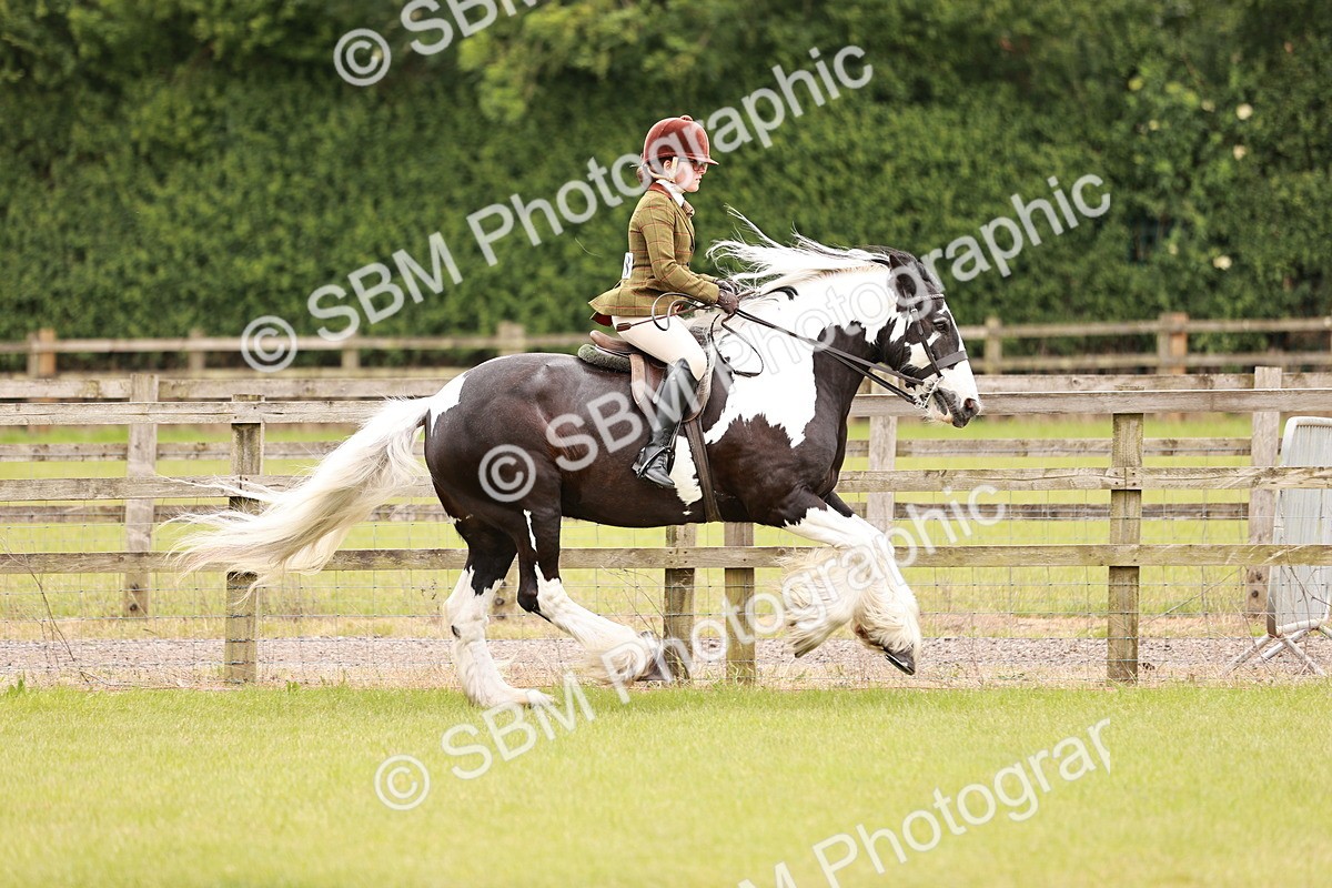 SBM_06216 - Class 39-41 TGCA In Hand and Ridden