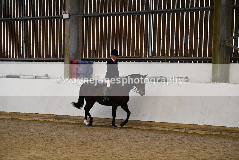 WJ5_7697 - Class 13 Ridden Part Breed