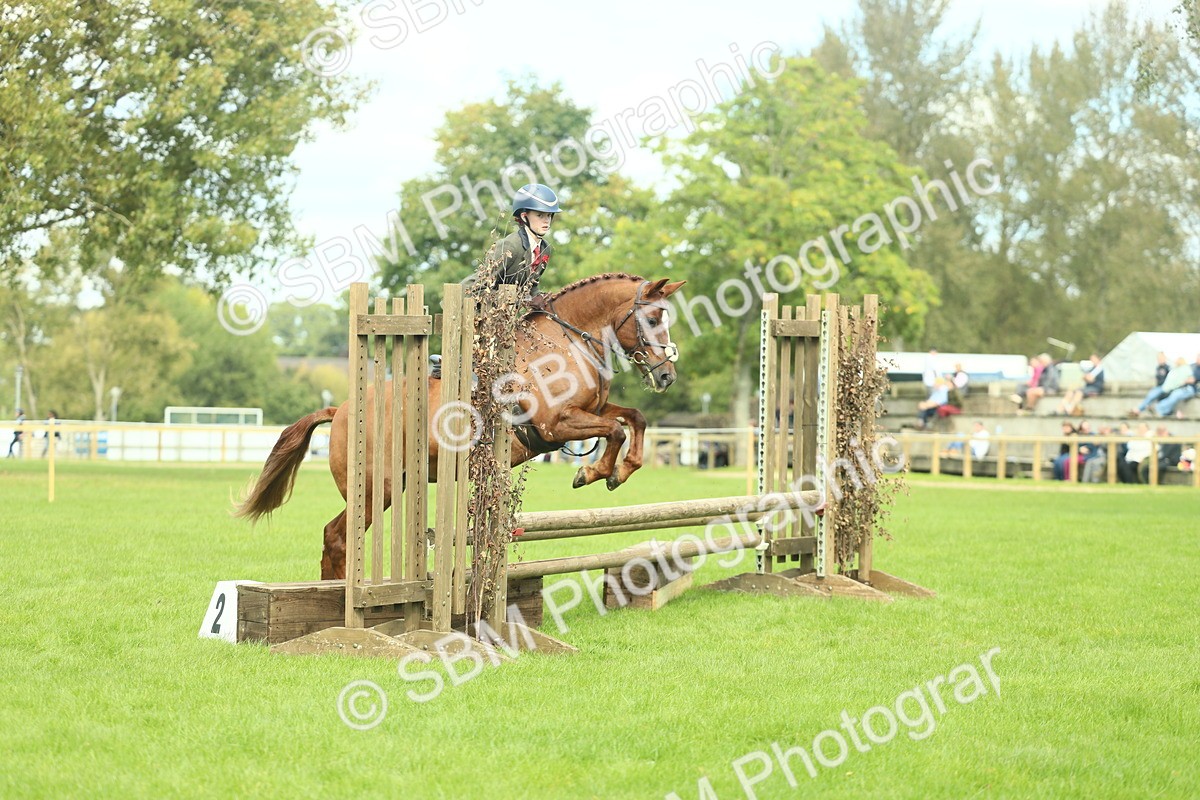 SBM_44557 - S31 - Working Hunter Pony