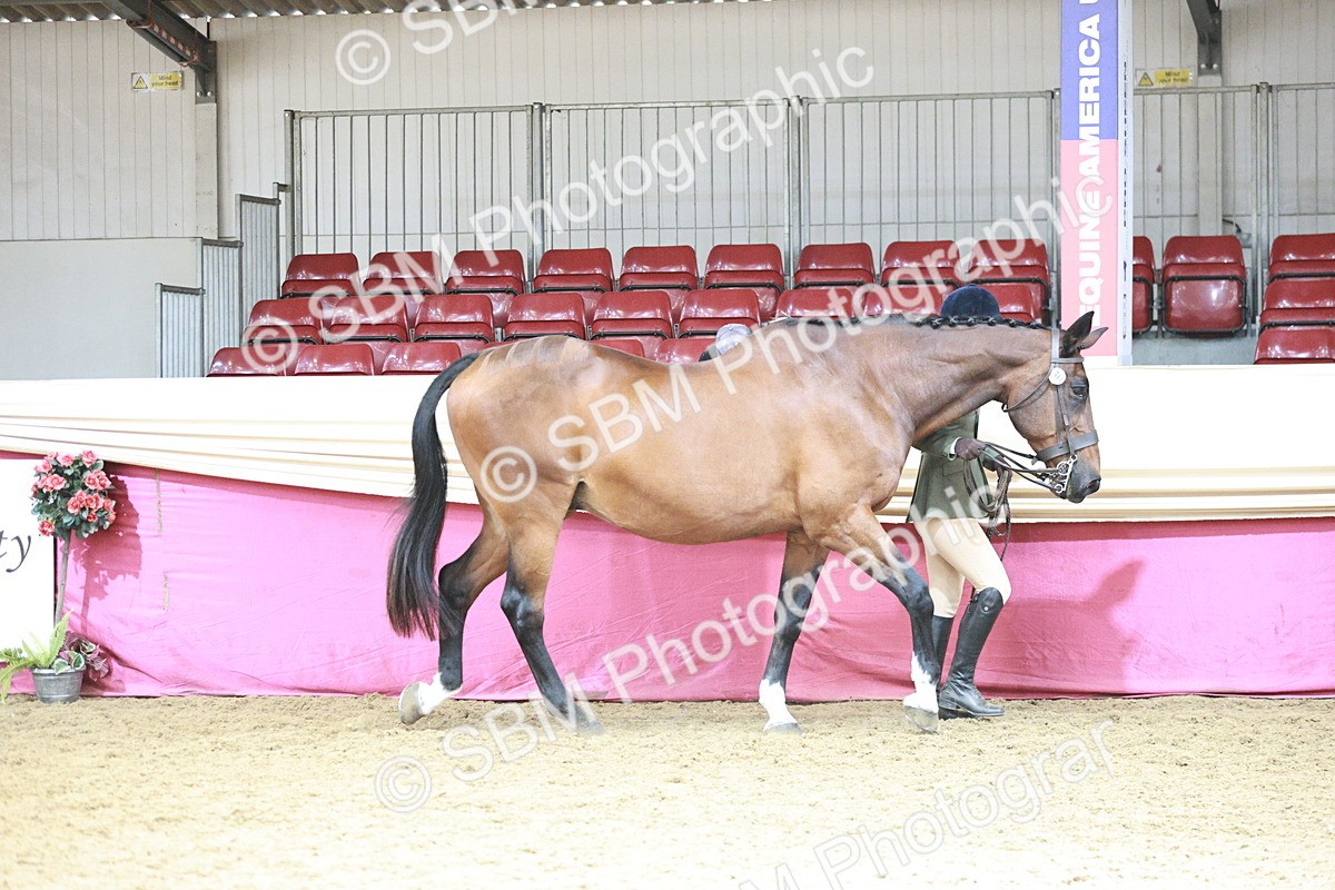 SBM_04716 - Class 7R - Regional IH Diamond