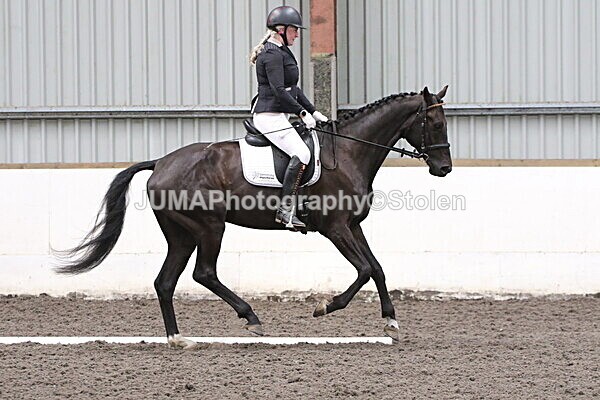 SIAL5342 - CAbin Dressage 5th july 2025
