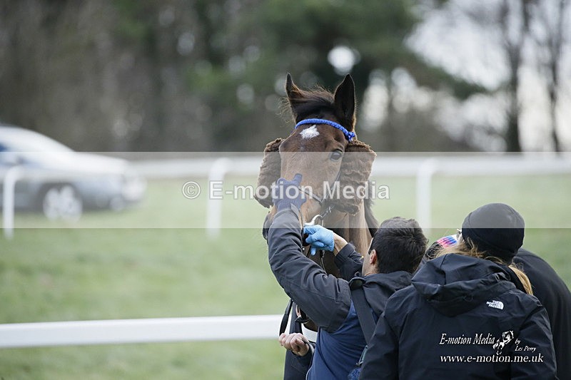 PtP 281121 0481 - Hursley Hambledon Point-to-Point Larkhill 28/11/21