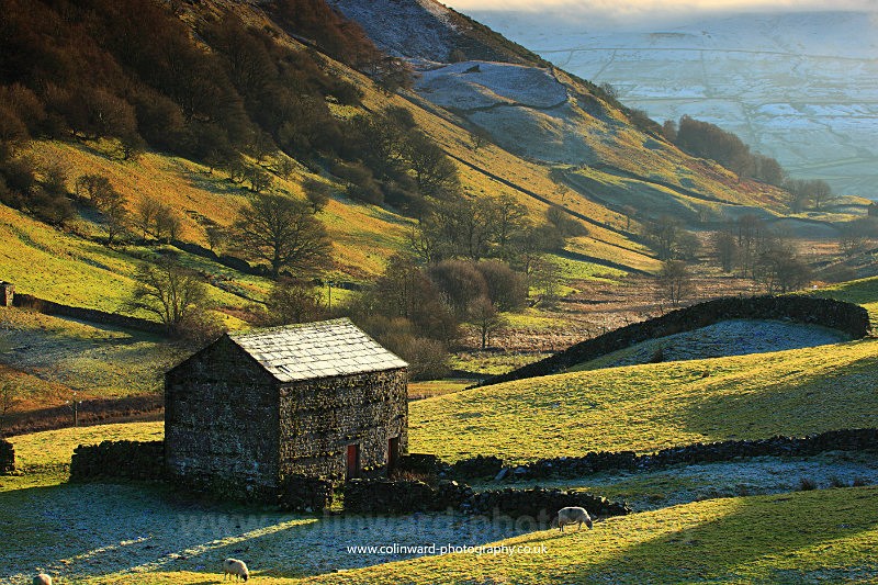Winter light.  Upper Swaledale      ref 4560 - The Pennines and Cumbria