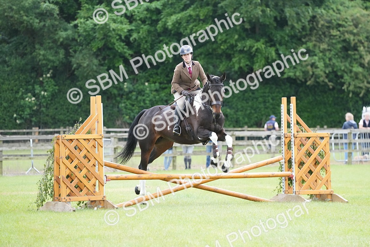 SBM_12555 - Class 97-98 - LIHS BSHA Rising Star Working Show Horse Hunter