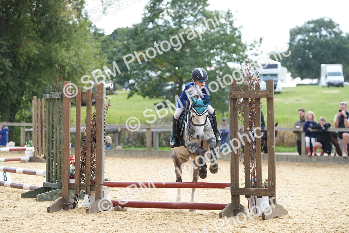 SBM_74710 - J4 - Mini Tour Junior Pony 45cm Championship