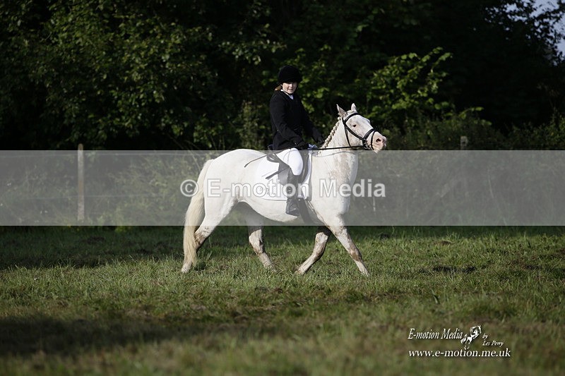 BVRC 120921 25 - Bourne Valley Riding Club UA Dressage & Show Jumping 12/09/21