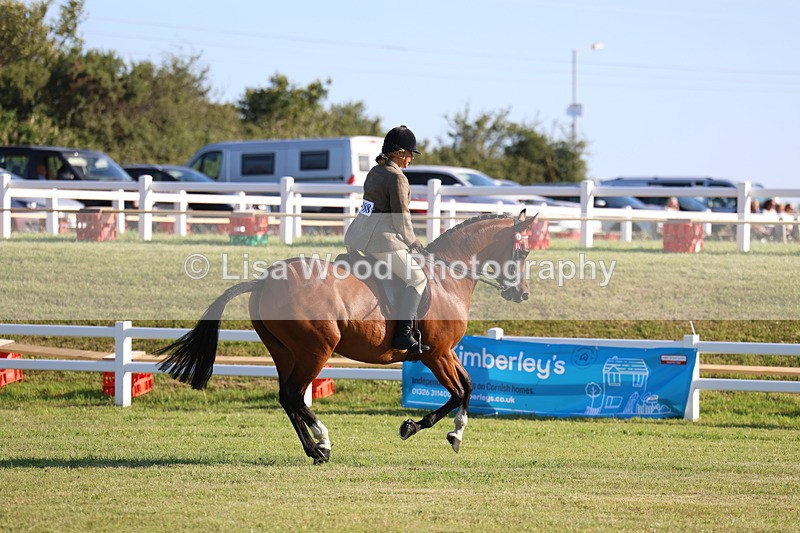3E7A4950 - Class 1: Rising Star Small Hack/Riding Horses