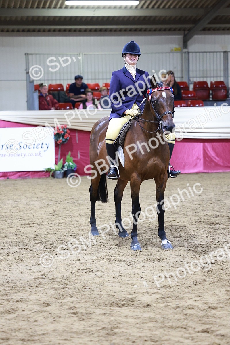 SBM_20566 - Class H - IH Competition - Riding Club champ