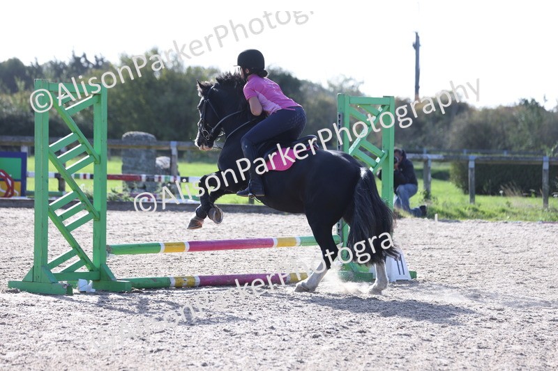 20251005-0181 - Class 2 - 50cm