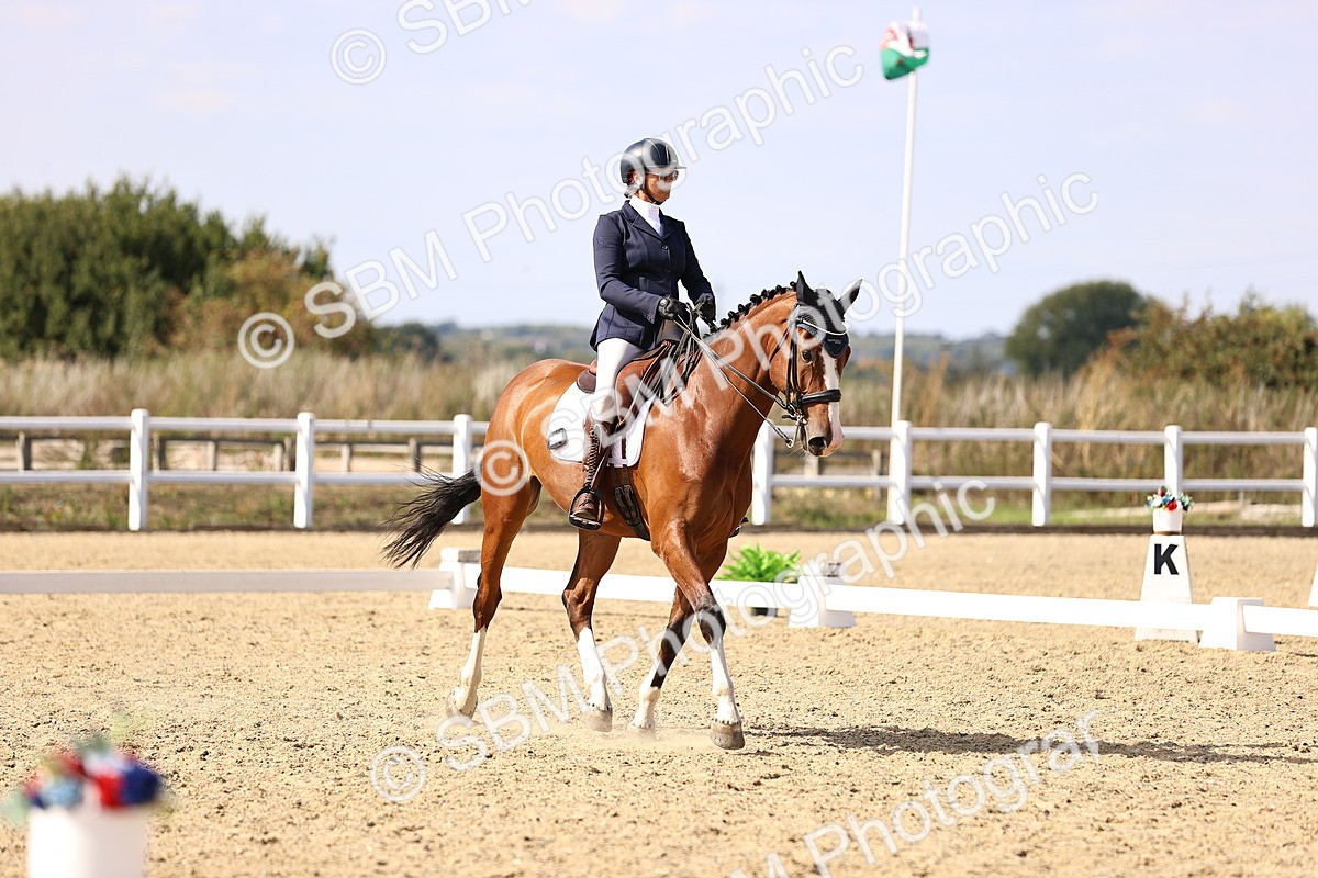 SBM_015195 - Class 8 - Medium 5