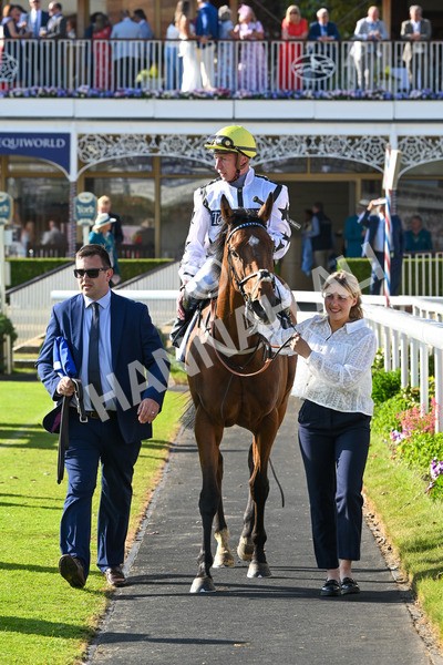 160525-Race 7-Delicacy-7526 - Race 7 5.30pm Yorkshire Equine Practice Handicap