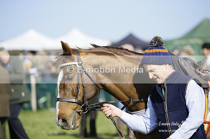 PtP 190322 442 - Wilton Hunt PtP Milborne St Andrew 19/03/22
