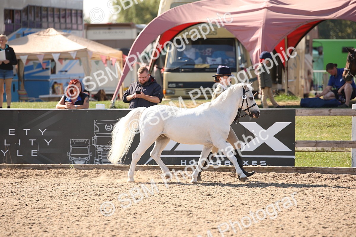 SBM_02703 - Class 16 IH M&M Wildcard