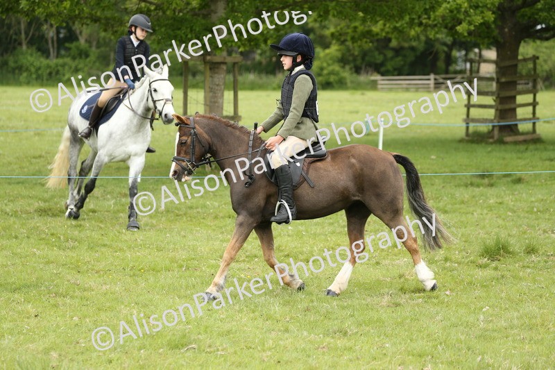 20250517-1121 - Class 21 - Novice Working Hunter
