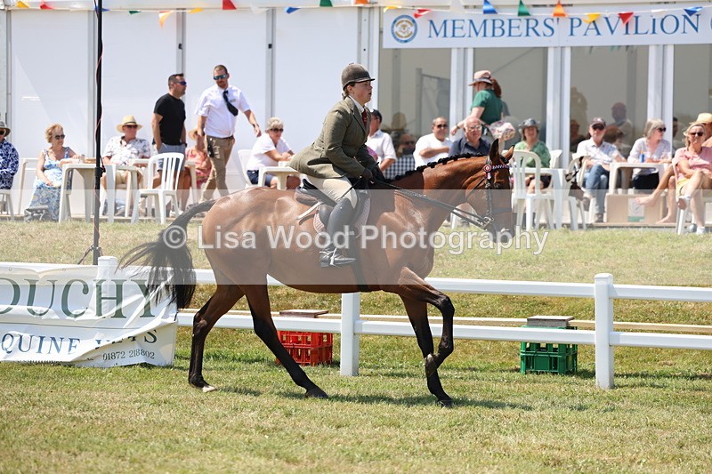 3E7A9311 - Class 12: Open Racehorse to Show Horse