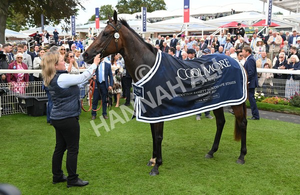 220825-191 Asfoora - Race 4 3.35pm Coolmore Wootton Bassett Nunthorpe Stakes