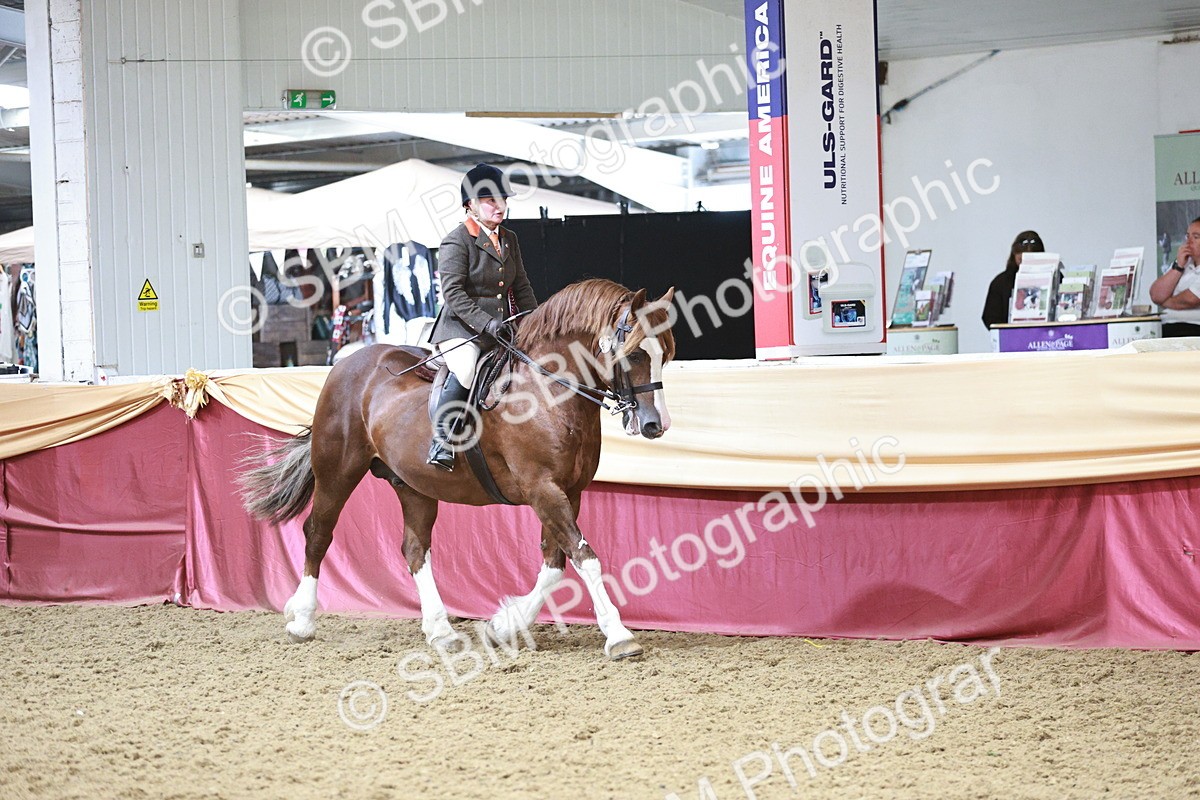 SBM_08633 - Regional Ridden Champ
