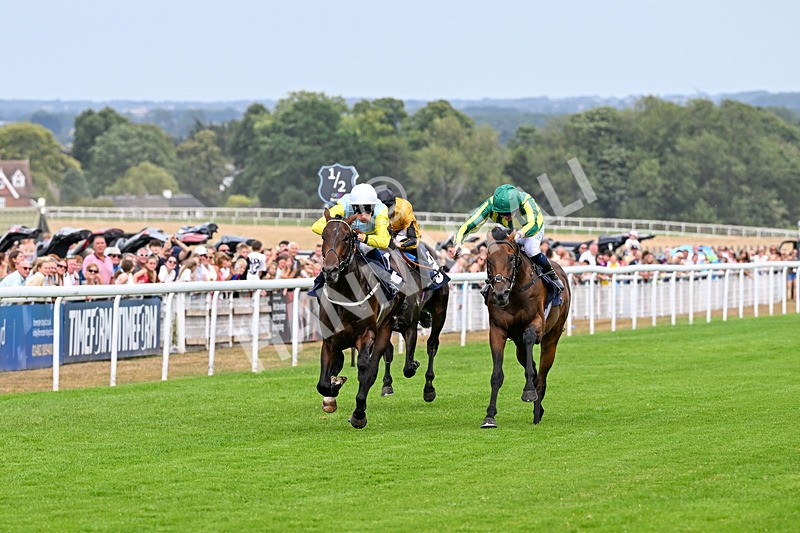 280726-Race 4-Vega King-0910 - Race 4 15.20pm 30 Years Of The Hurn Racing Club EBF Novice Stakes