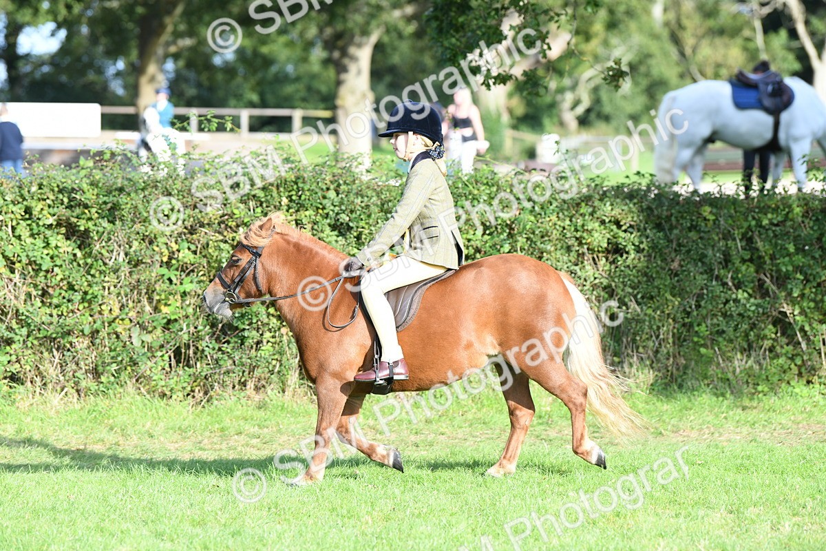SBM_52101 - S21 - Novice & Newcomers 1st Ridden Pony