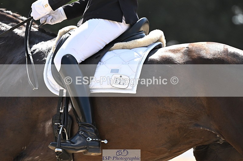 250808A-153458-01934 - 127-Joe.RoomeMonarchs.Way.Her.Grace