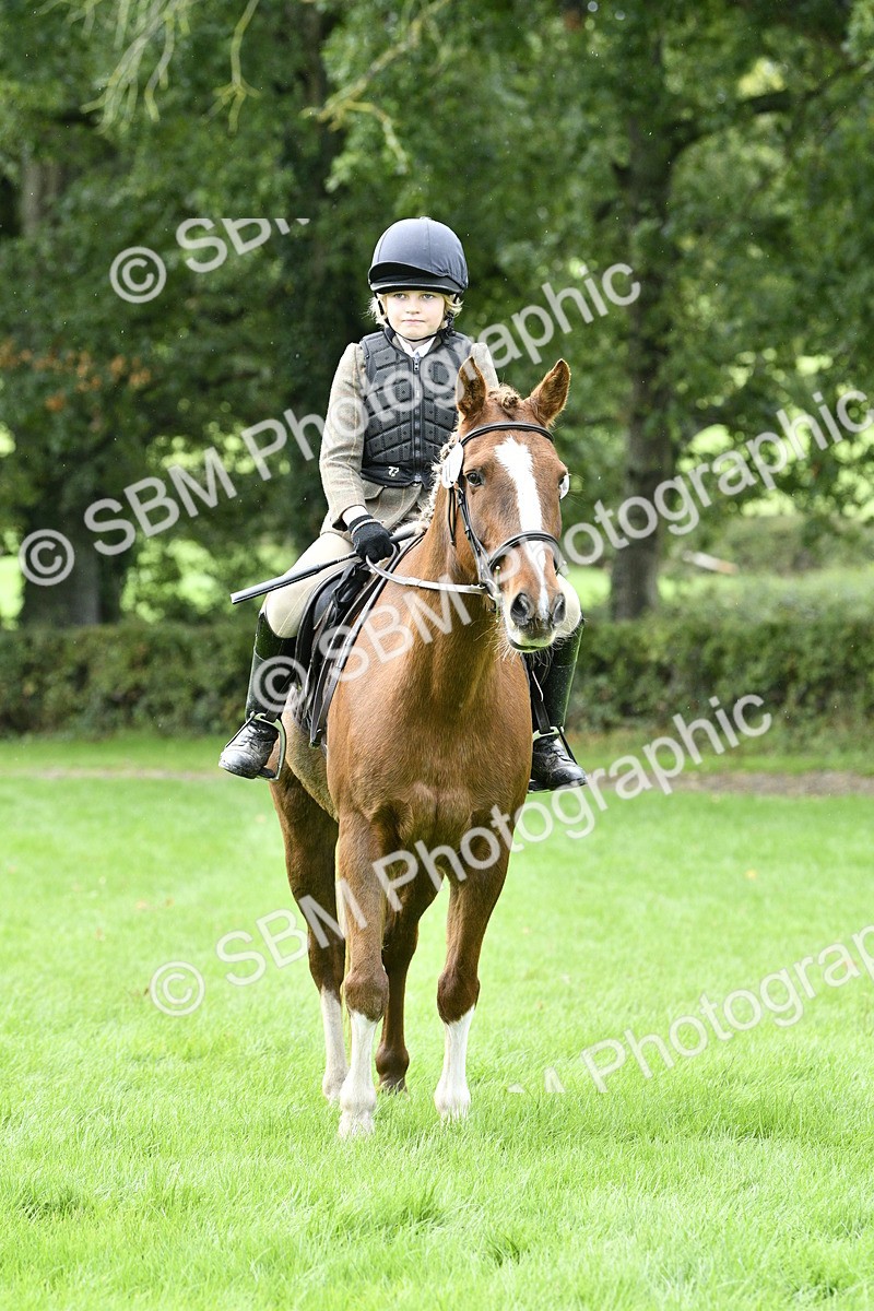 SBM_41463 - S32 - Mountain & Moorland Working Hunter Pony