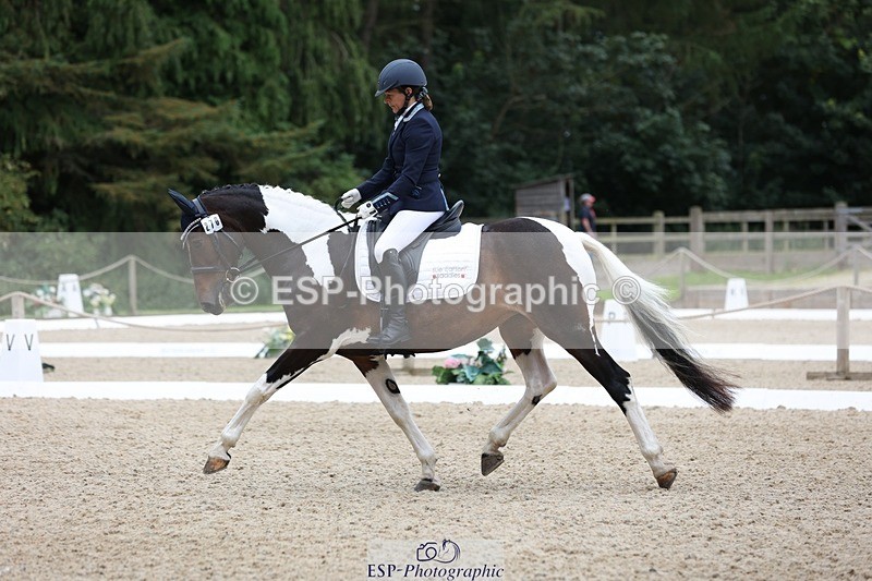 230813-121045-07042 - Cls 11 Elem Bronze 11.10 to 12.20 break