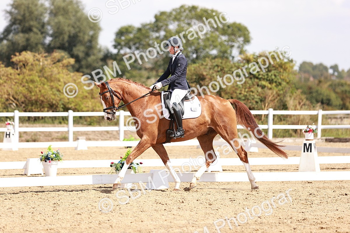 SBM_018442 - Class 17 - Novice 6