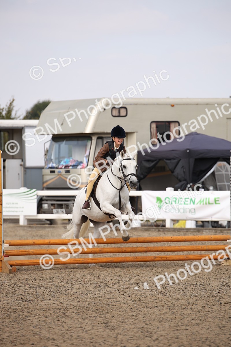 SBM_14254 - Class 407b - Working Veteran 60cm (20+)