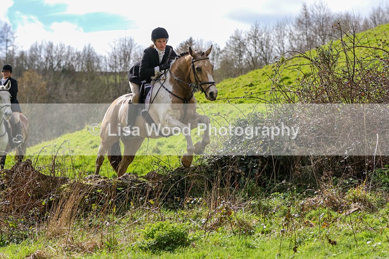 A38A3141-2 - Hils Ziar