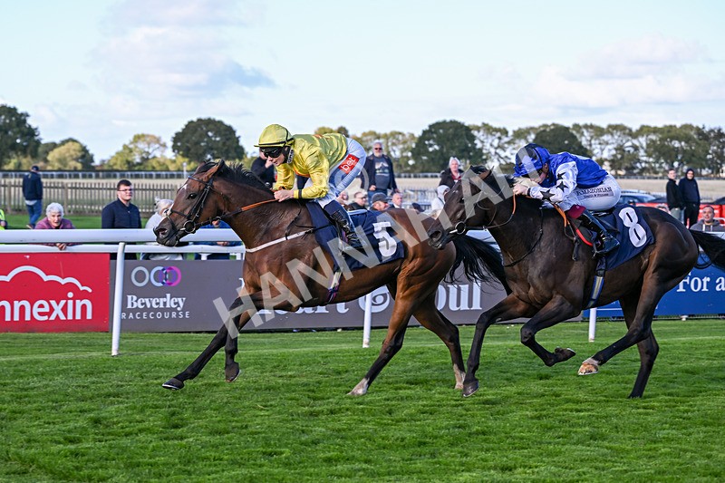 230925-Race 6-Kiss Me My Love-1999 - Race 6