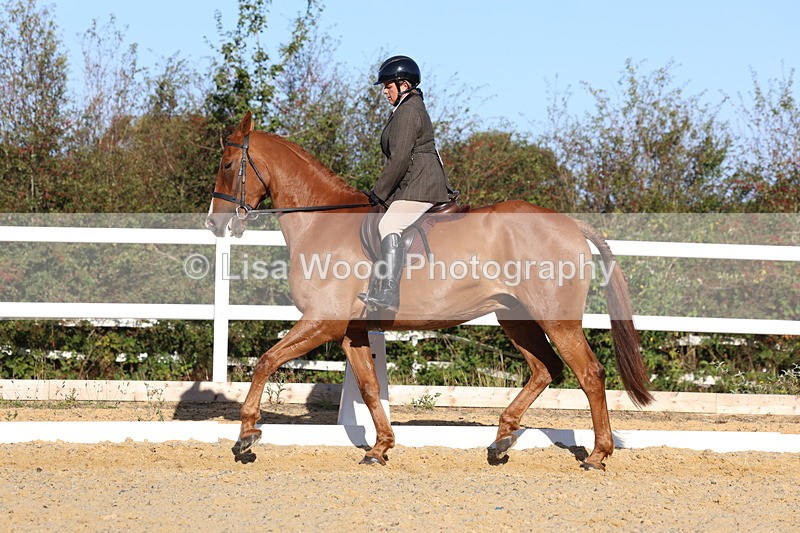 3E7A5189 - Class 7: Novice Ridden Hunter/Hack/RH/Cob