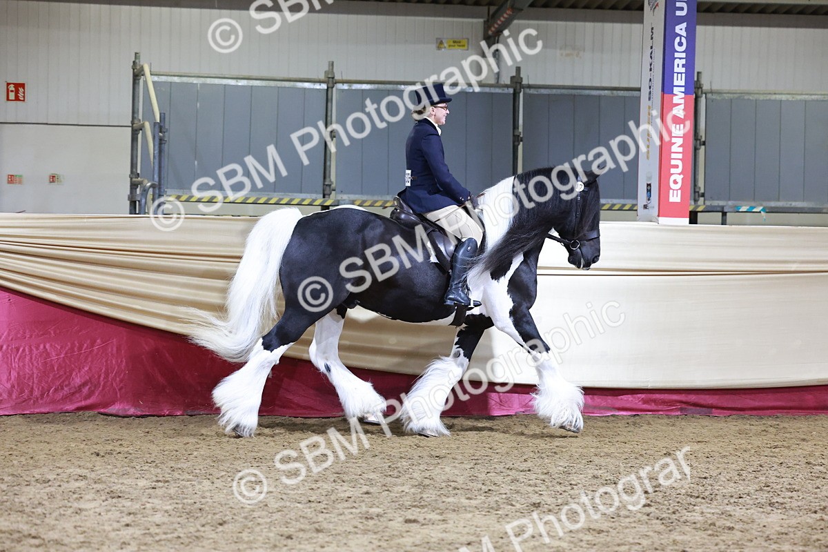 SBM_20832 - Class L - Coloured Champ